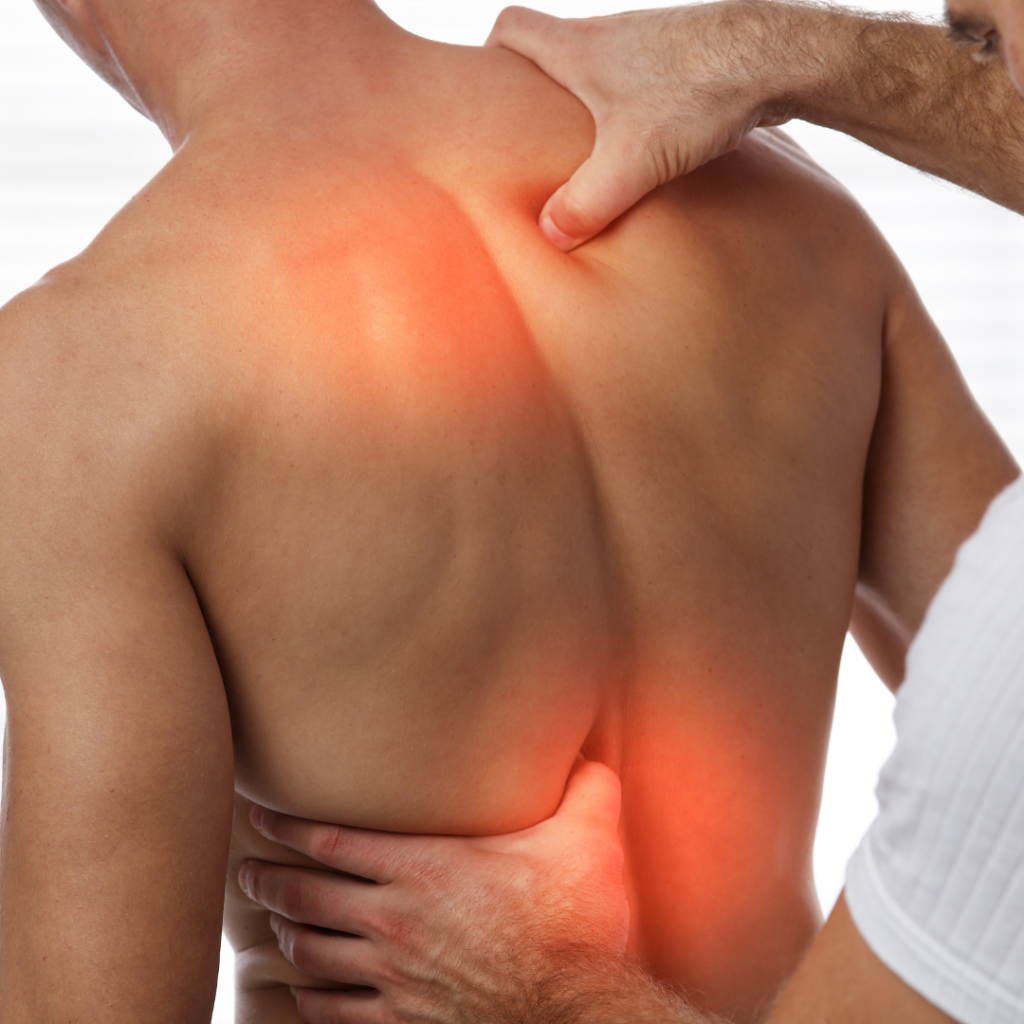 Fisioterapia spalla a Reggio Emilia